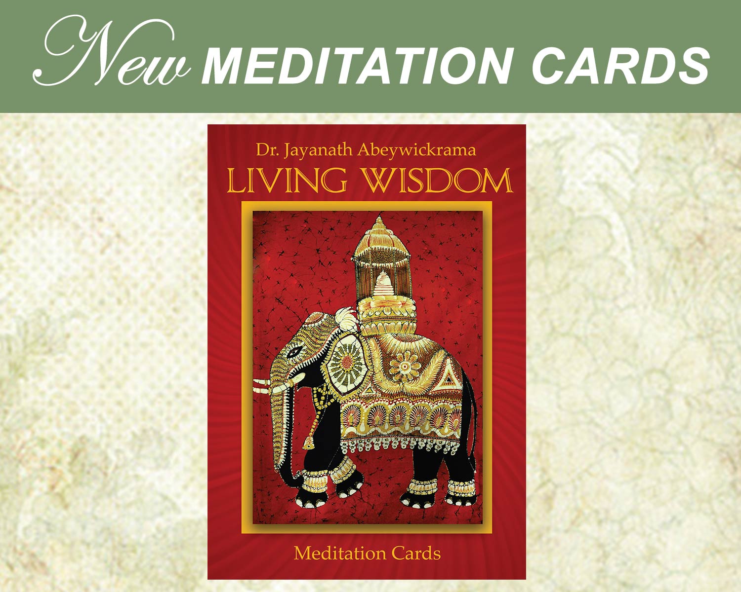 New Meditation Cards